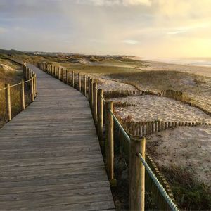 Foto Passadiços de Árvore (Vila do Conde)