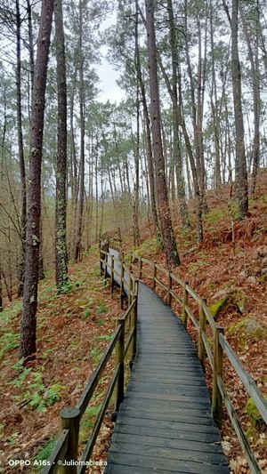 Foto Passadiços de Melgaço (Melgaço)