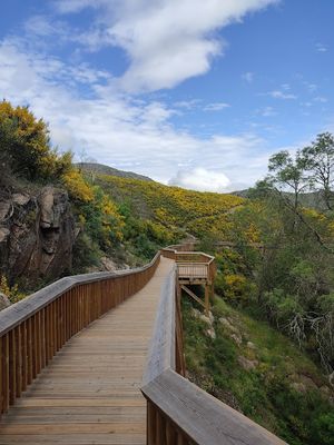 Passadiços do Mondego (Guarda)