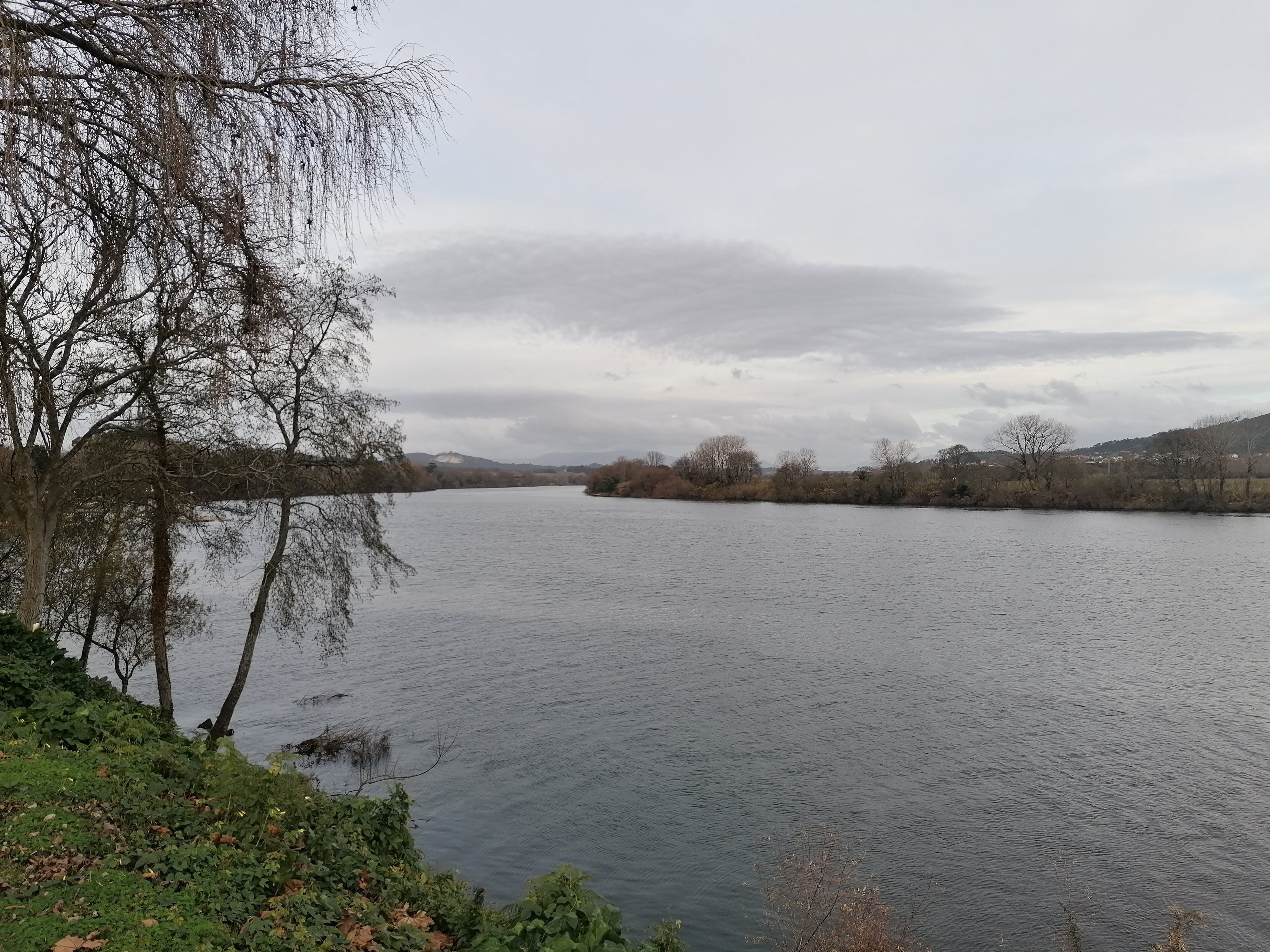 Parque do Penedo (Tui)