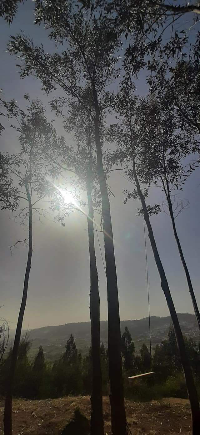 Baloiço do Picoto (Lousada)