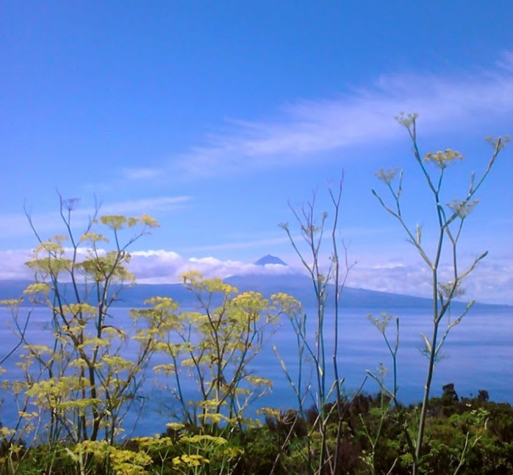 Miradouro da Ponta da Queimada (Velas)