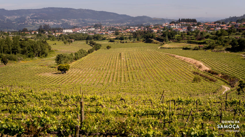 Quinta da Samoça (Marco de Canaveses)