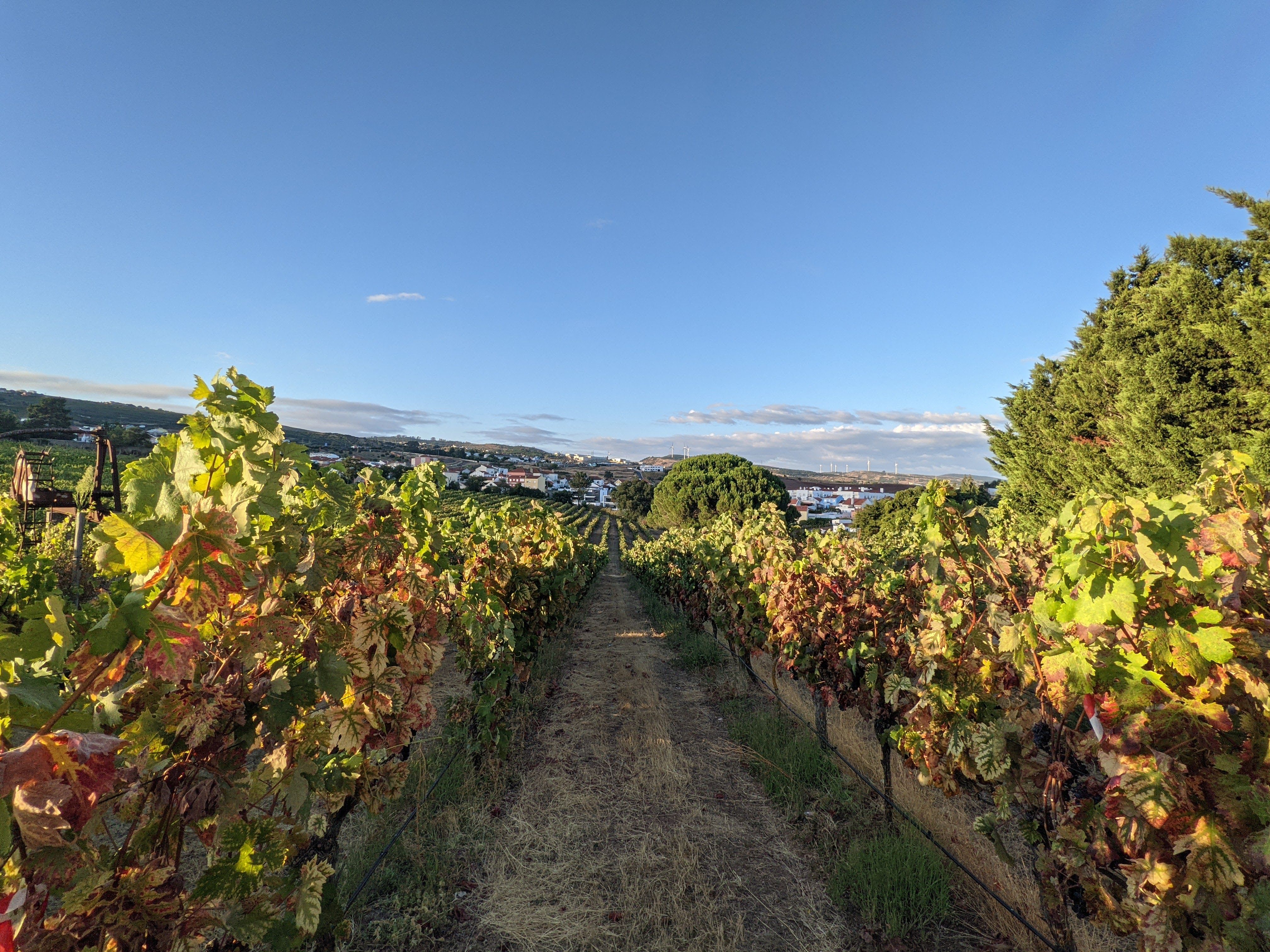 Quinta das Carrafouchas (Loures)