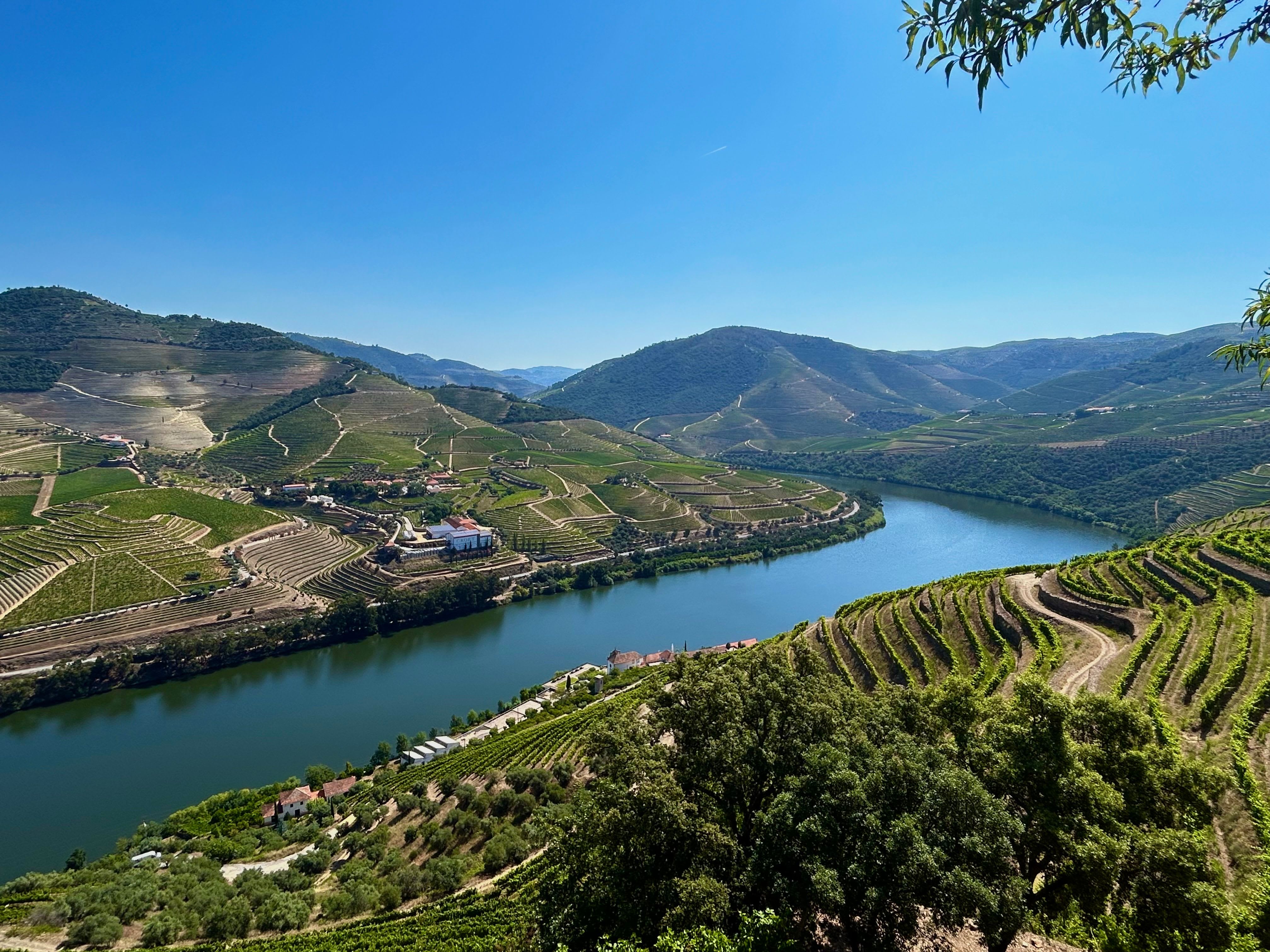 Quinta das Carvalhas (São João da Pesqueira)