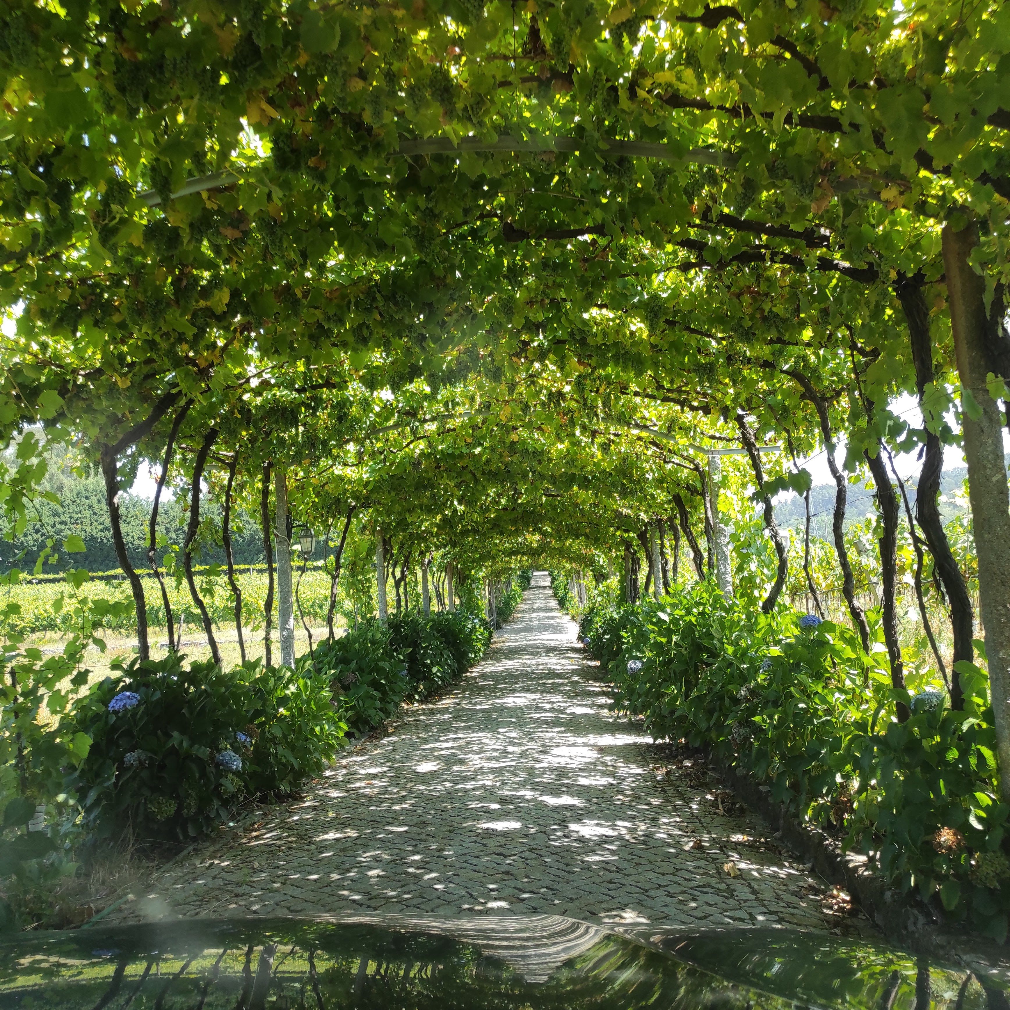 Quinta de Maderne (Felgueiras)