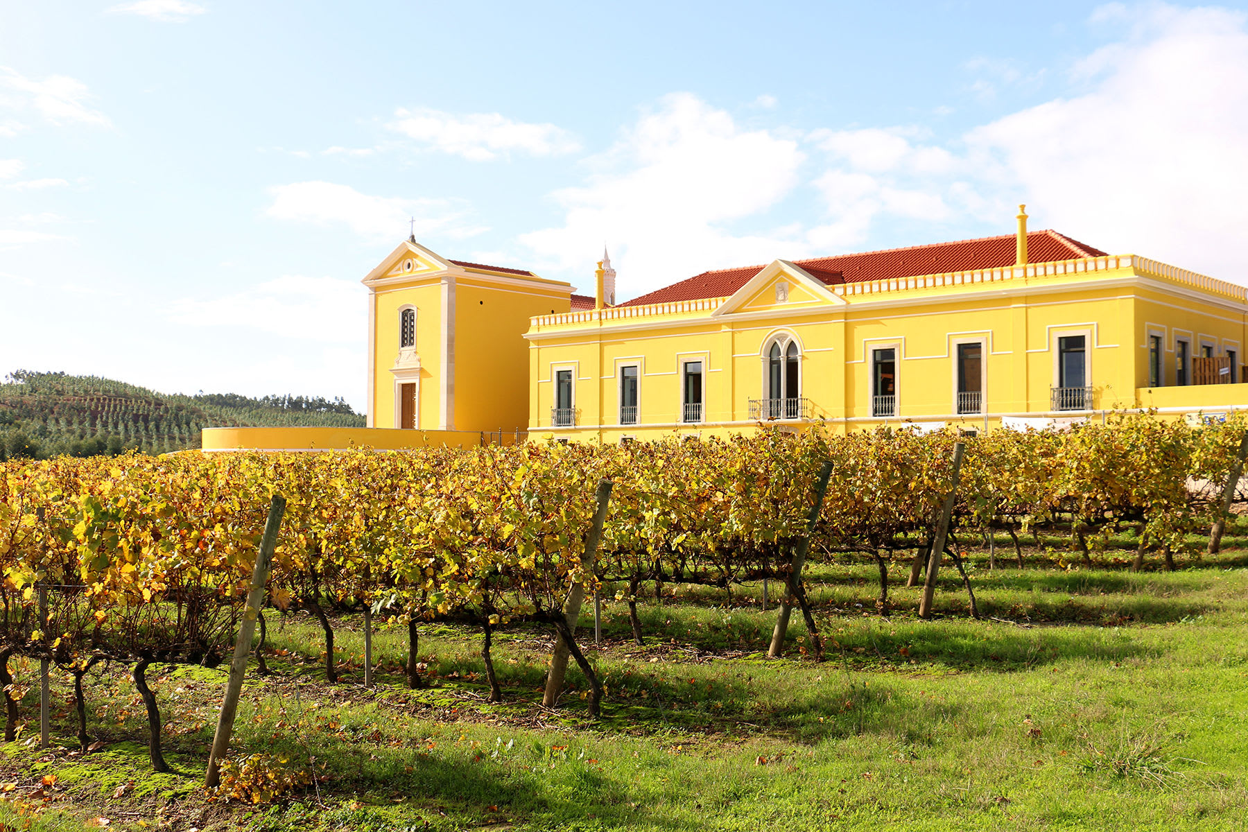 Quinta do Gradil (Cadaval)
