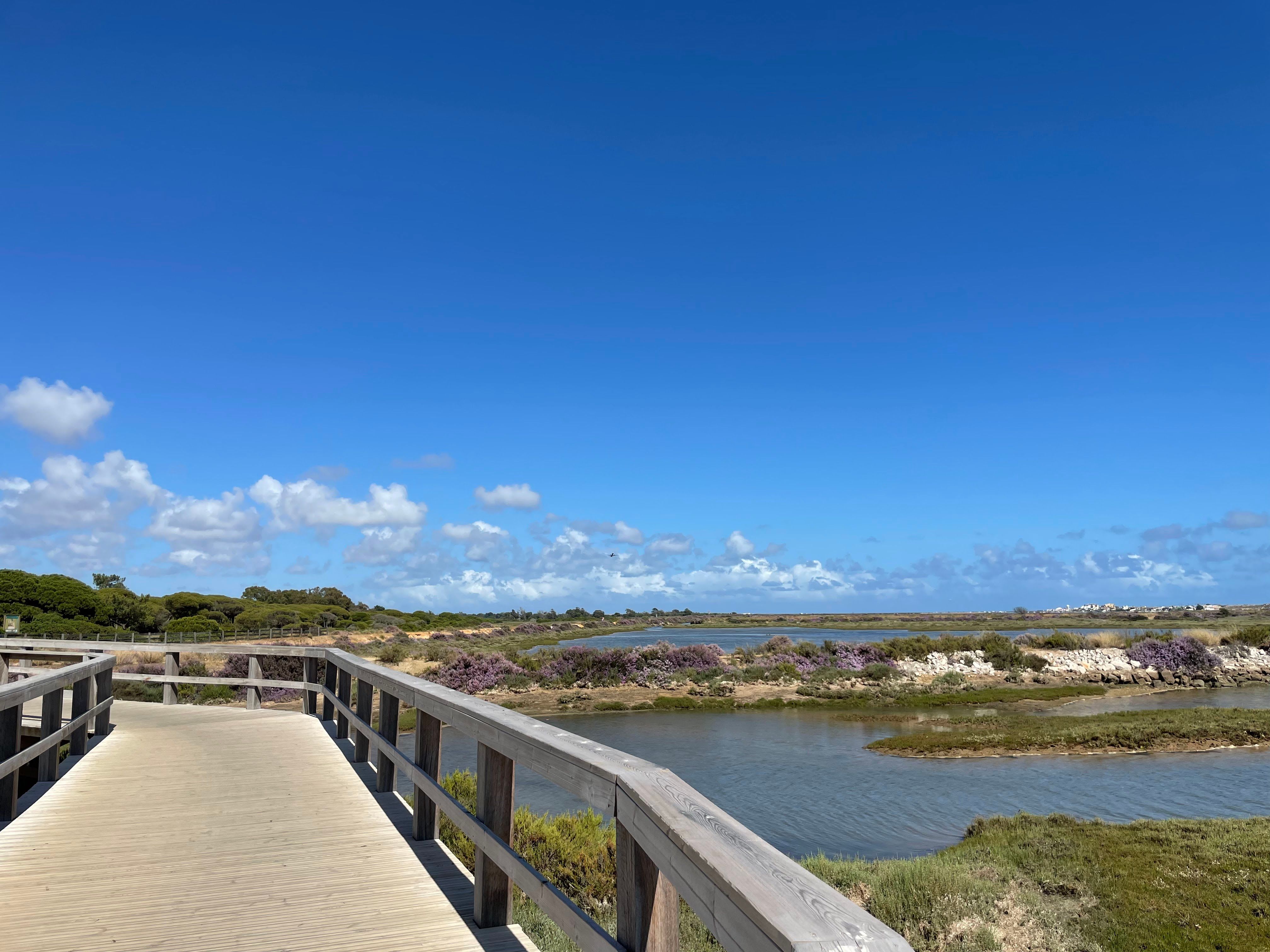 Ponte da Quinta do Lago (Faro)
