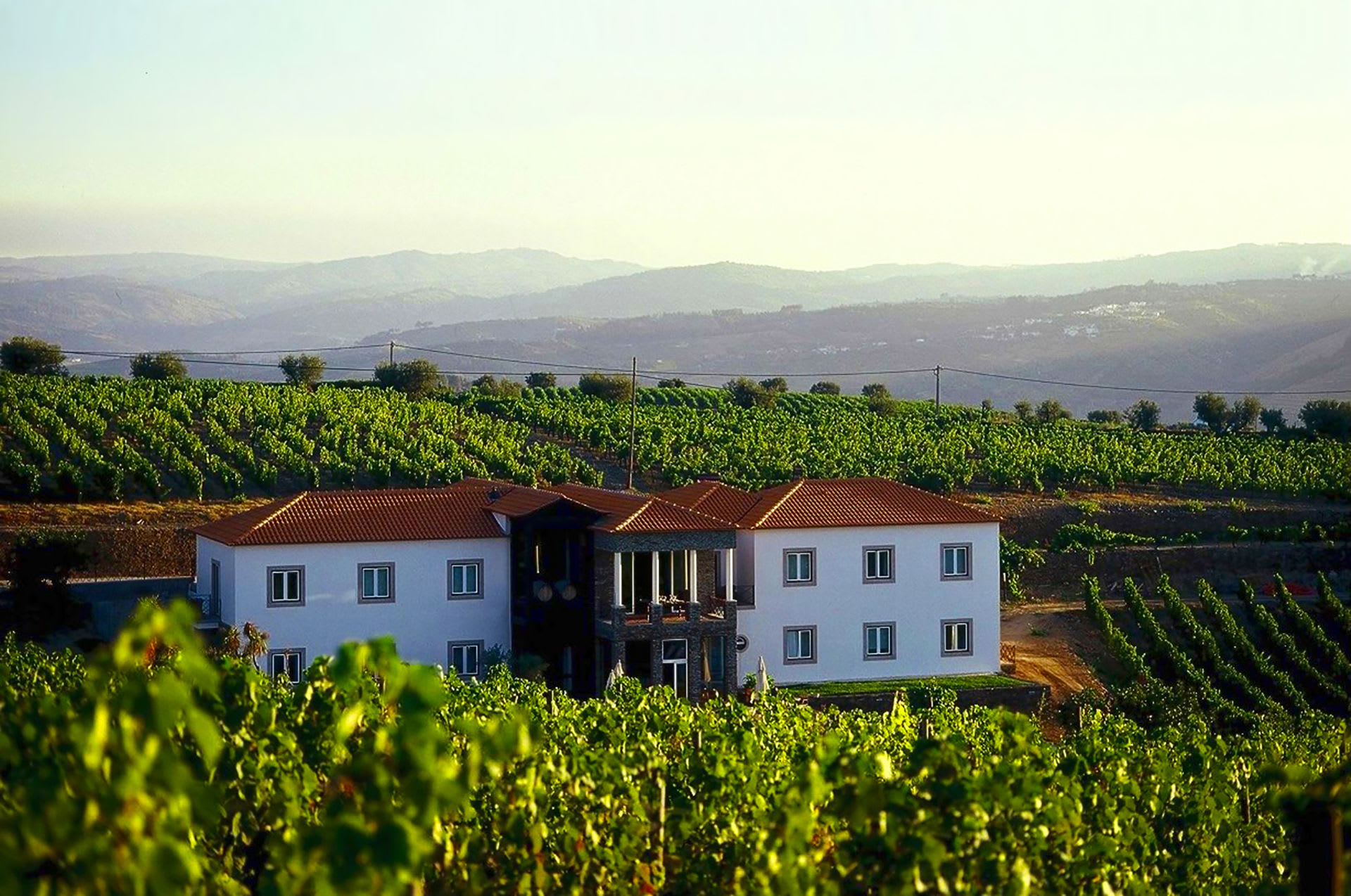 Quinta do Portal / Casa das Pipas (Sabrosa)