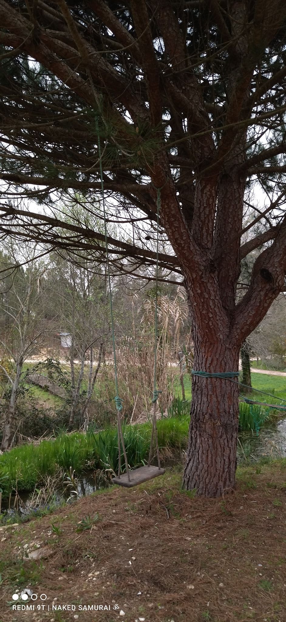 Baloiço da Ribas (Figueira da Foz)