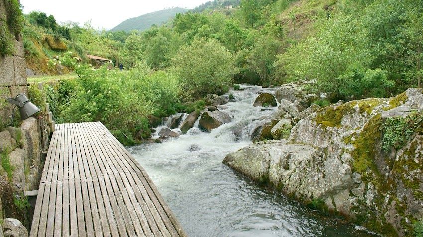Parque Fluvial da Ponte de Lagariça (Resende)