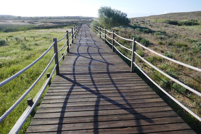 Passadiços da Lagoa dos Salgados (Albufeira)