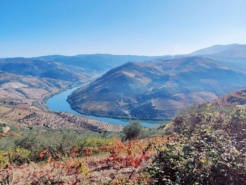 Miradouro de Santa Marinha (Alijó)