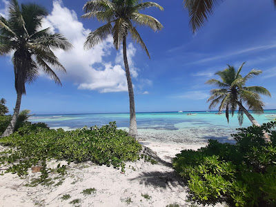 Ilha Saona