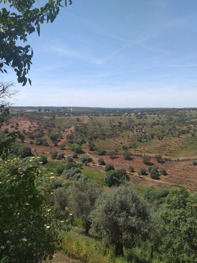 Miradouro de Seda (Alter do Chão)