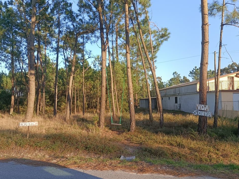 Baloiço Voa Sonha (Figueira da Foz)