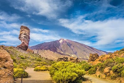 Parque Nacional do Teide (La Orotava)