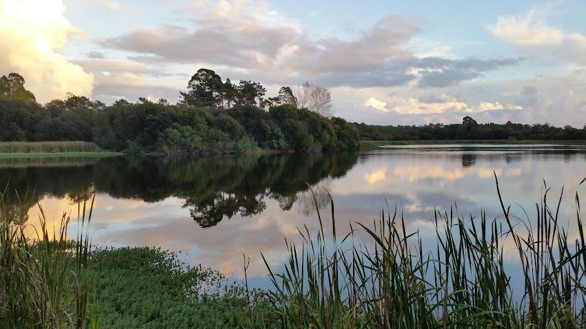 Lagoa de Teixoeiros (Cantanhede)