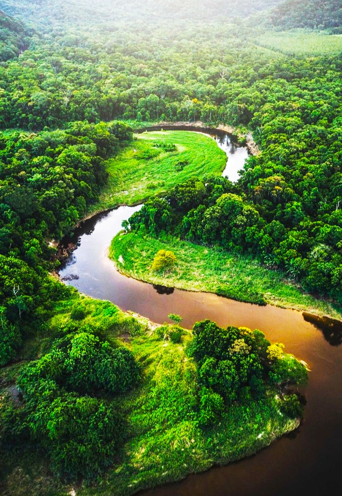 Río Amazonas
