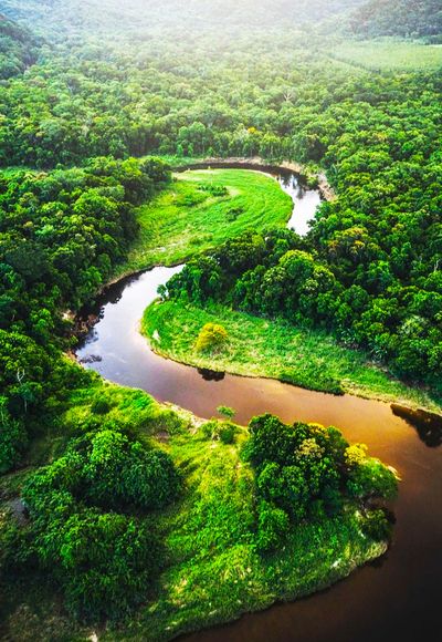 Río Amazonas