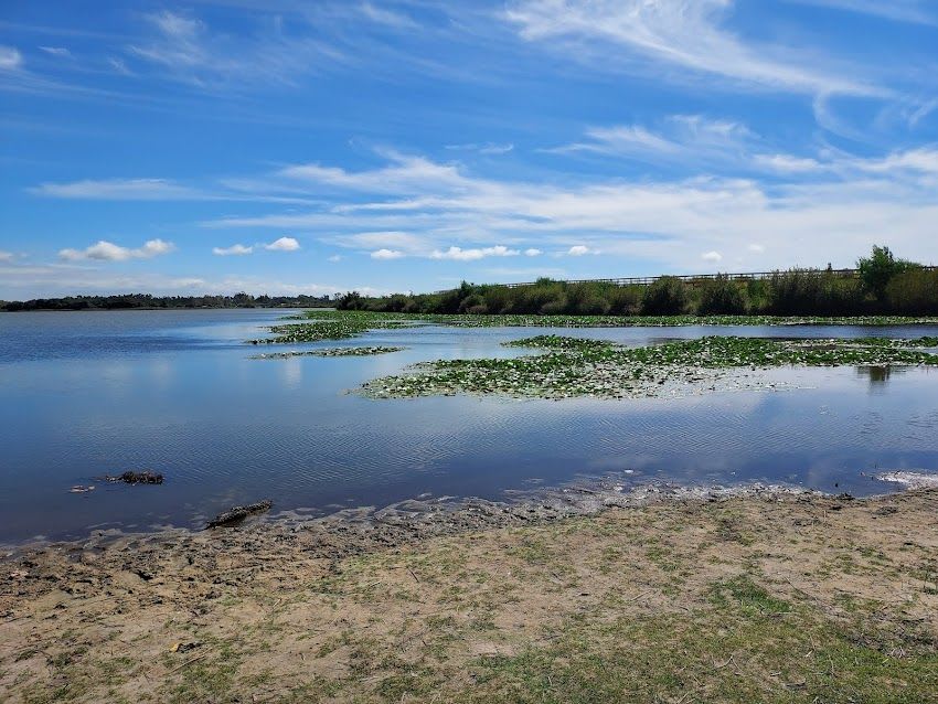 Lagoa da Vela (Figueira da Foz)