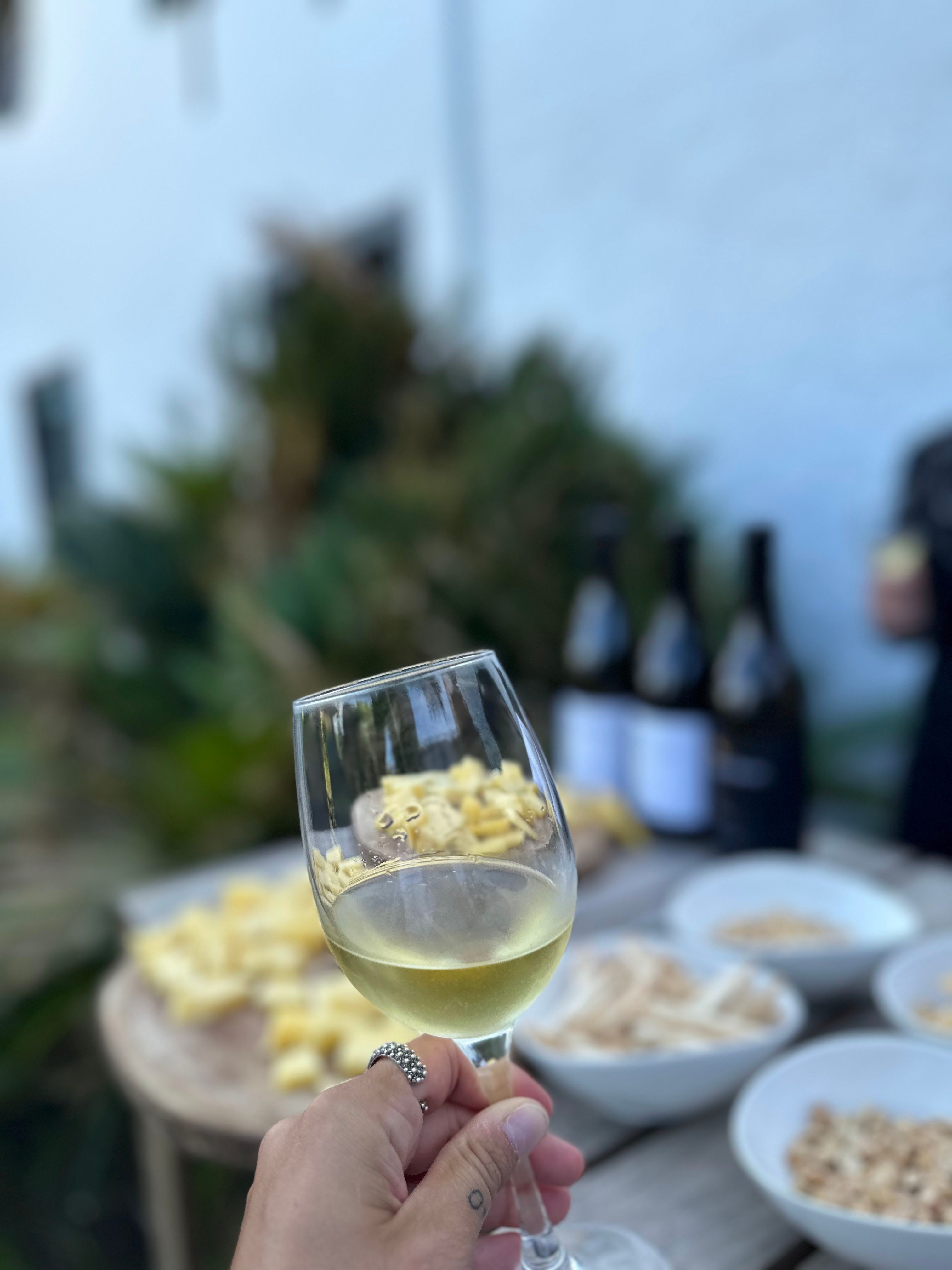 Adega do Vulcão (Madalena)