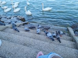 20250920_145723.jpg