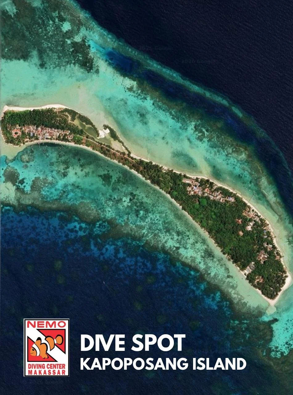 Dive Spot
