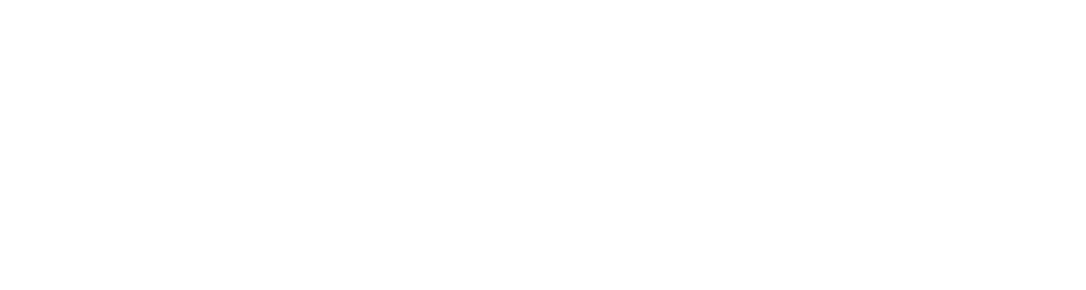 Vwslot Logo