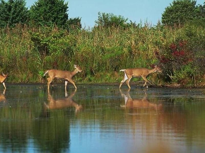 Panpatha Wildlife Sanctuary