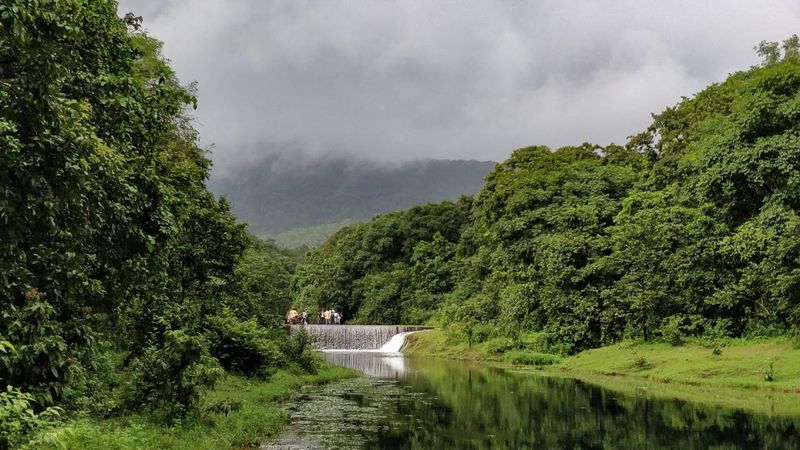 Dudhsagar Falls Trek Goa