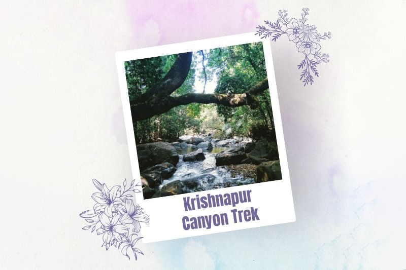 Krishnapur Canyon Trek