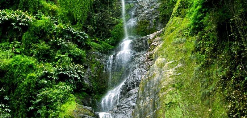 Chadwick Waterfall