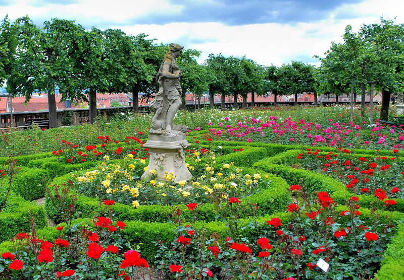 Rose Garden