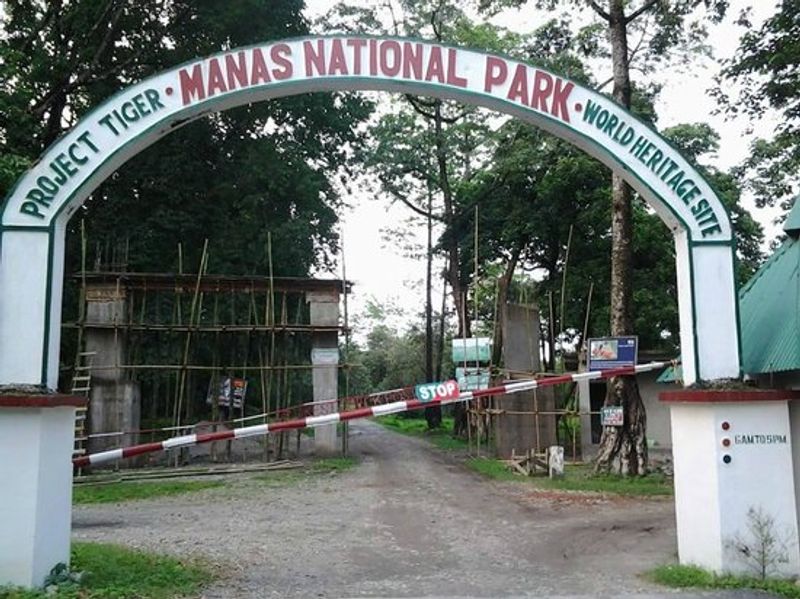 Manas National park