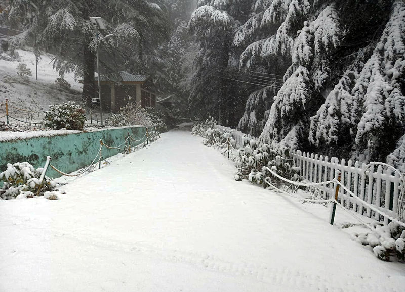 Shimla