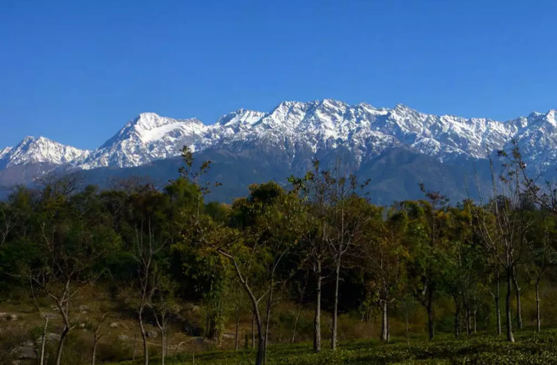 Palampur