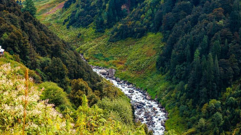 Malana, Himachal Pradesh