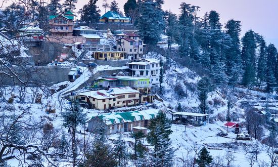 Shimla Chail Kufri Tour Package