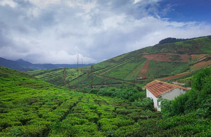 Coorg, Karnataka