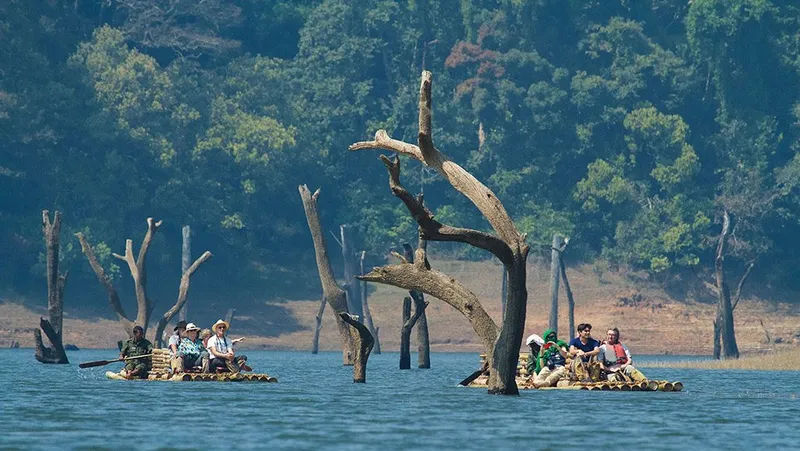  Thekkady: Periyar