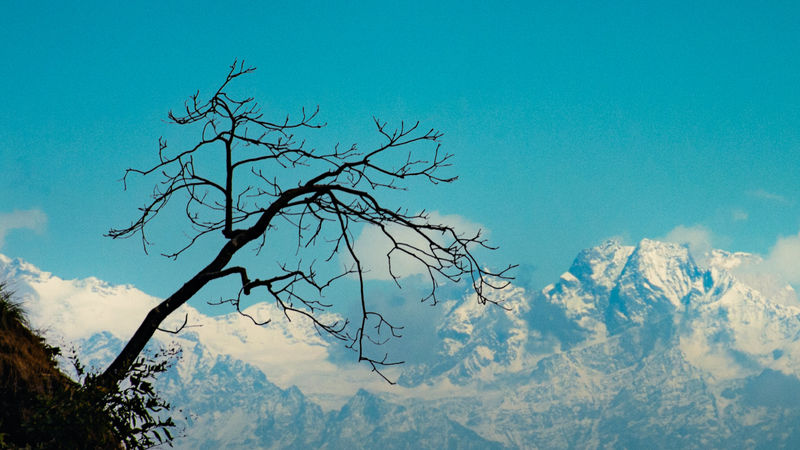 Dhanaulti, Uttarakhand