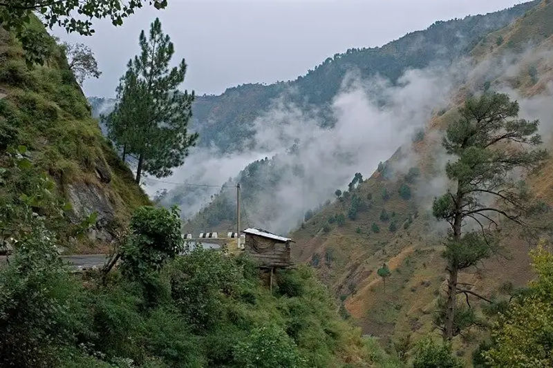 Kasauli