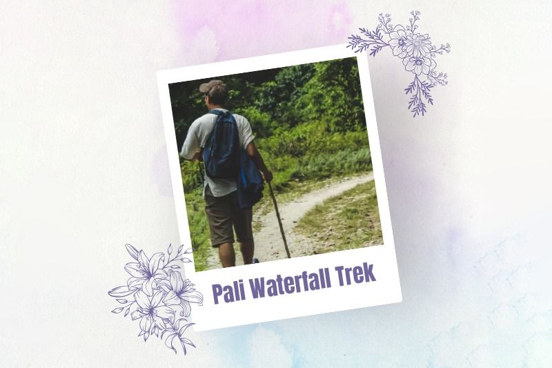 Pali Waterfall Trek