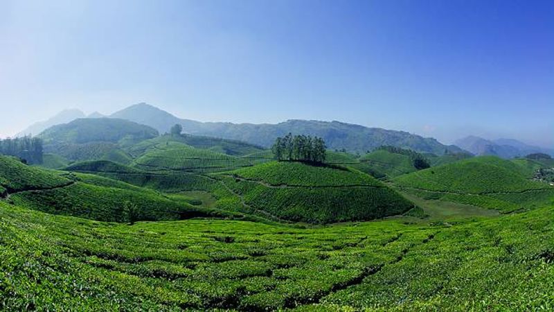 Munnar 