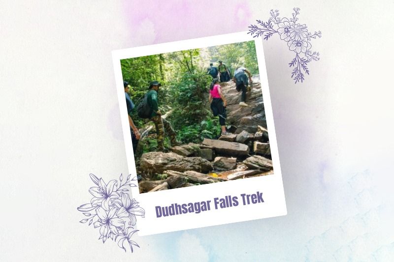 Dudhsagar Falls Trek