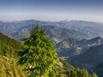 Blissful 3 Days Dalhousie Package With Volvo