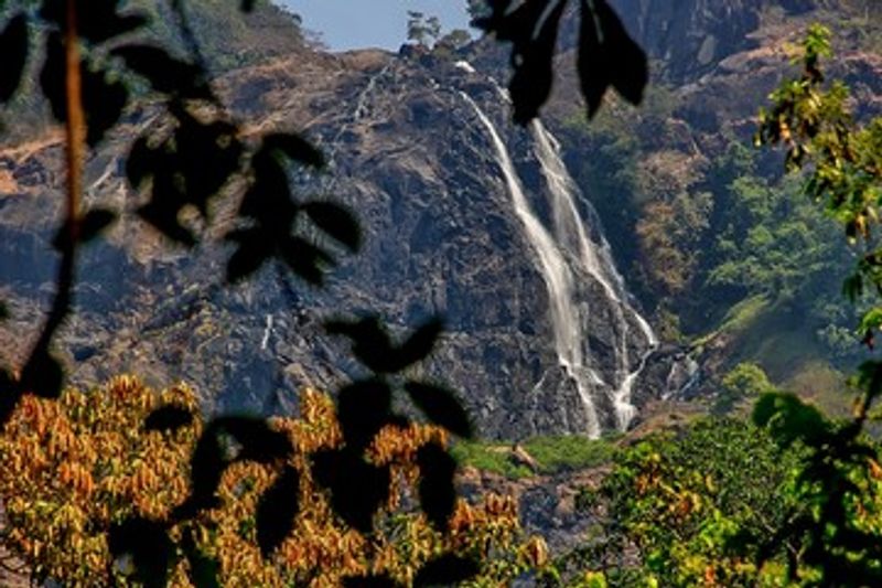 Hire a Trek Guide for Dudhsagar hike?