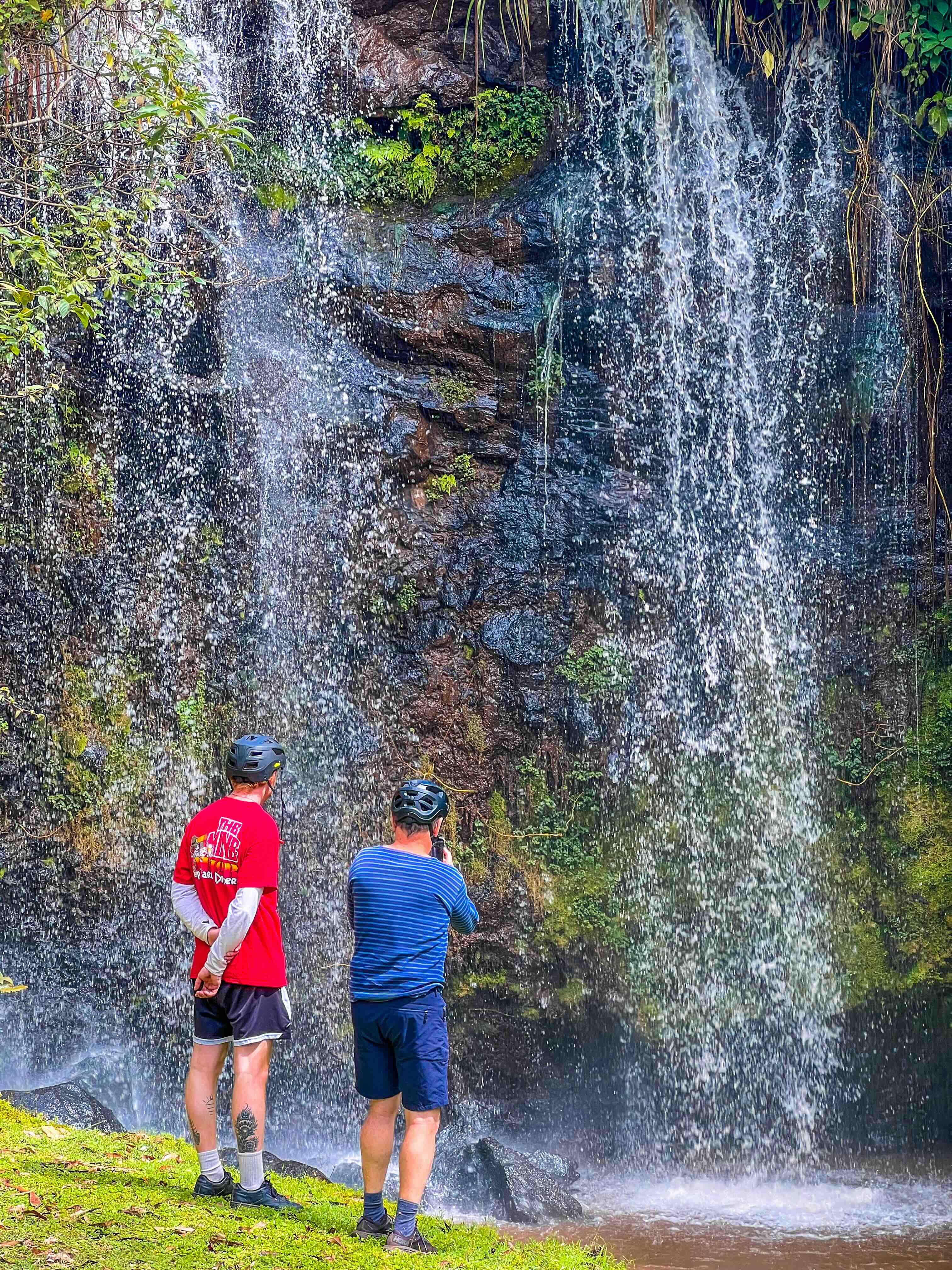 Nature Walks in Tigoni: The Ultimate Guide to Peaceful Walks Near Nairobi (2026)