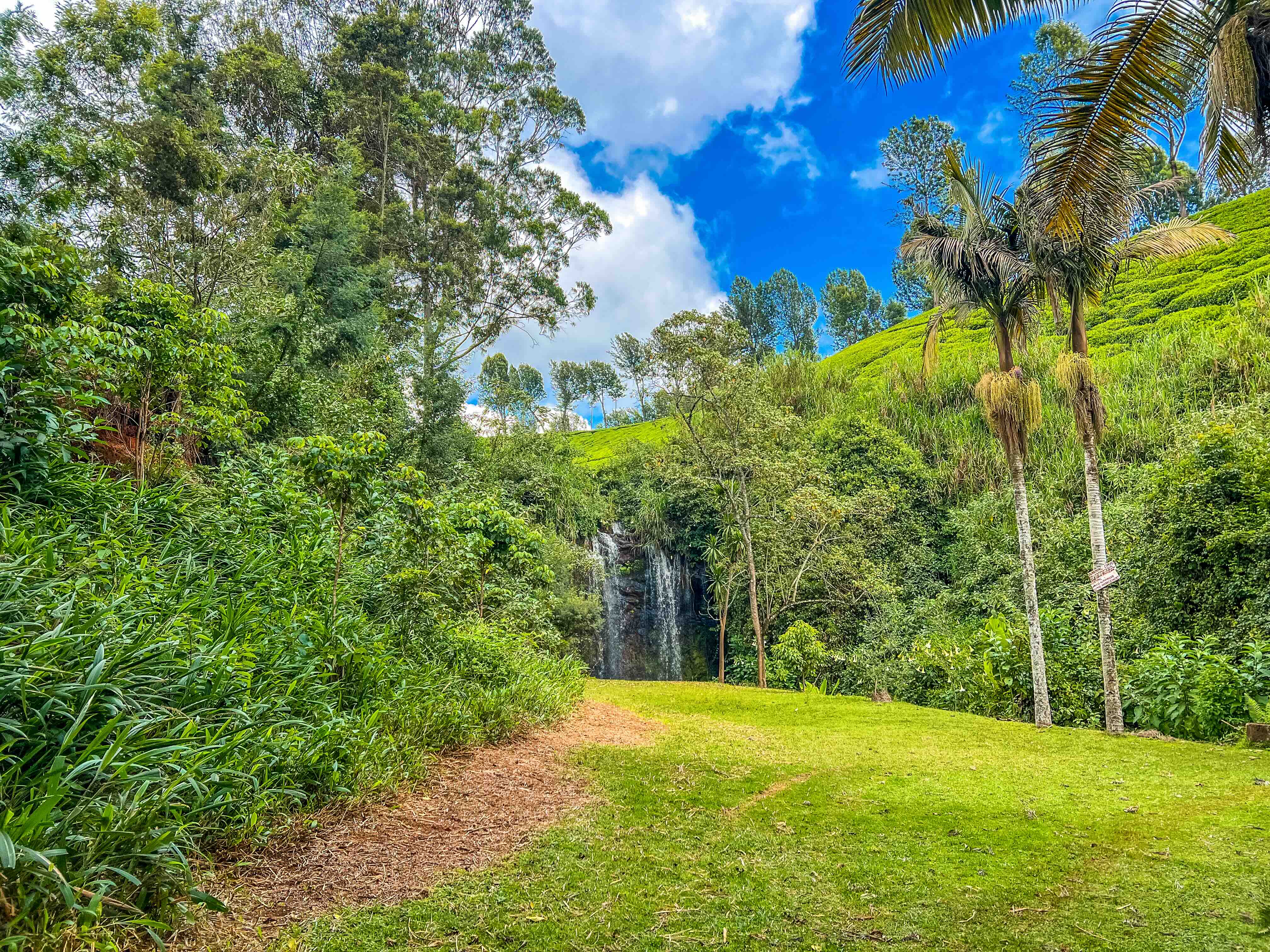 Picnic Sites in Tigoni: The Perfect Countryside Escape Near Nairobi